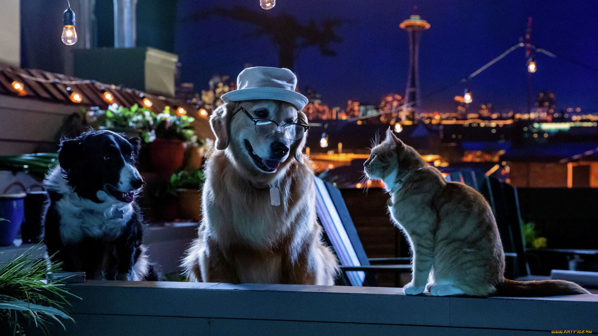 cats & dogs 3,  paws unite ,  2020,  , -unknown , , , , , 3, , , , , 